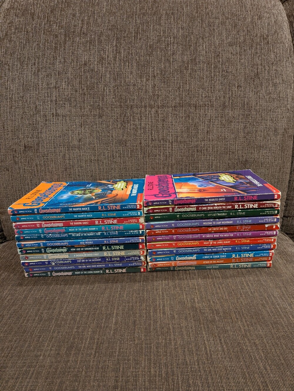 90s Goosebumps Book Lot (22 Total)